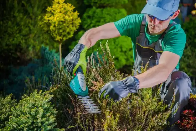 landscaping services McBain